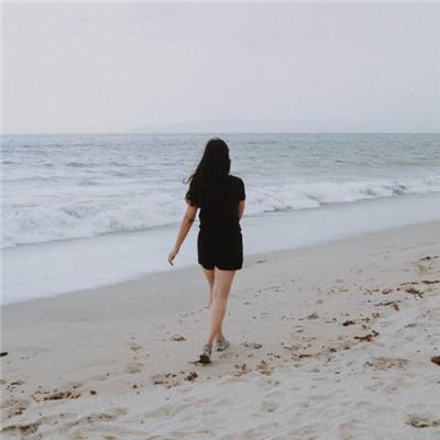 果盘小小驯龙师手游下载
